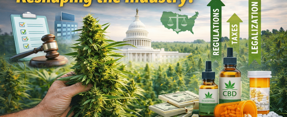 How New Federal Hemp Laws Are Reshaping the Industry