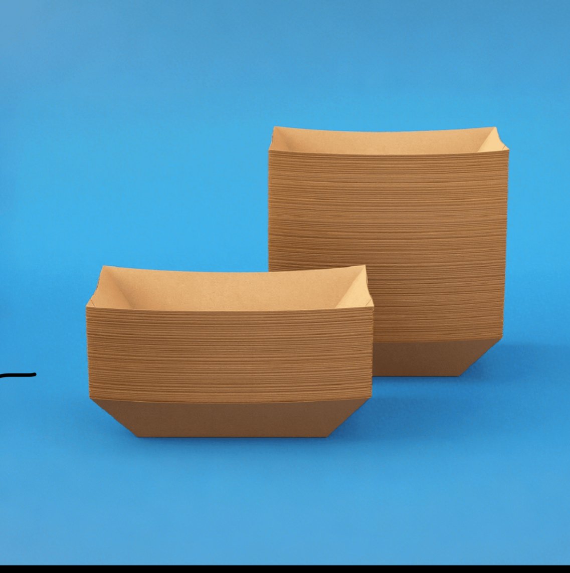 How to Choose Eco-Friendly Disposable Food Storage Containers